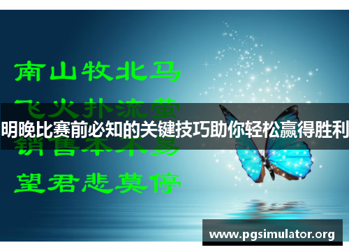明晚比赛前必知的关键技巧助你轻松赢得胜利