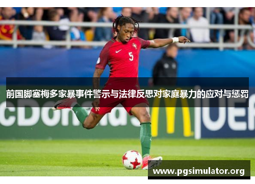前国脚塞梅多家暴事件警示与法律反思对家庭暴力的应对与惩罚