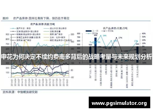 申花为何决定不续约费南多背后的战略考量与未来规划分析