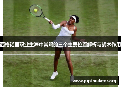 西格诺里职业生涯中常踢的三个主要位置解析与战术作用