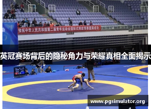 英冠赛场背后的隐秘角力与荣耀真相全面揭示