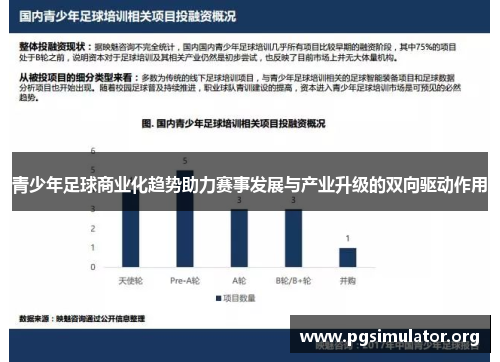 青少年足球商业化趋势助力赛事发展与产业升级的双向驱动作用