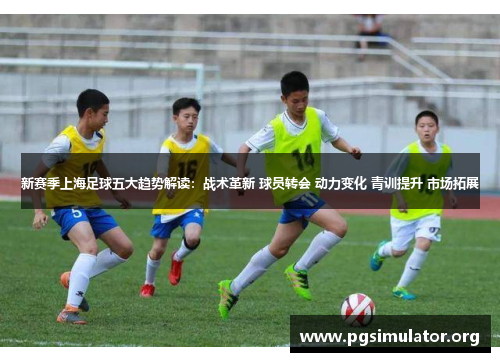 新赛季上海足球五大趋势解读：战术革新 球员转会 动力变化 青训提升 市场拓展