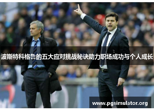 波斯特科格鲁的五大应对挑战秘诀助力职场成功与个人成长