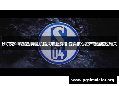 沙尔克04深陷财务危机险失职业资格 变卖核心资产勉强度过难关