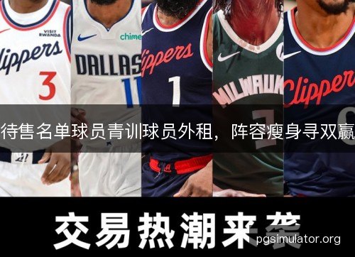 待售名单球员青训球员外租，阵容瘦身寻双赢
